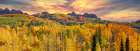 USA-Colorado-Kebler Pass panorama of the autumn color on Kebler Pass Art Print